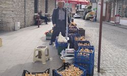 SAFRANBOLU’DA KANLICA MANTARI CEP YAKIYOR
