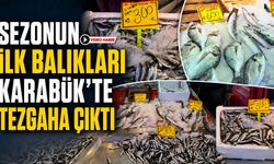 SEZONUN İLK BALIKLARI KARABÜK’TE TEZGAHA ÇIKTI