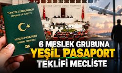 6 MESLEK GRUBUNA YEŞİL PASAPORT TEKLİFİ MECLİSTE