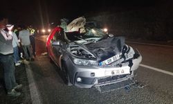 KOZCAĞIZ’DA YOLA ÇIKAN HAYVAN KAZAYA NEDEN OLDU