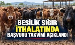 BESİLİK SIĞIR İTHALATINDA BAŞVURU TAKVİMİ AÇIKLANDI