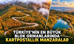 TÜRKİYE'NİN EN BÜYÜK BLOK ORMANLARINDAN KARTPOSTALLIK MANZARALAR