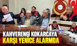 KAHVERENGİ KOKARCAYA KARŞI YENİCE ALARMDA