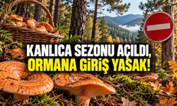 KARABÜK’TE KANLICA SEZONU AÇILDI FAKAT ORMANA GİRİŞ YASAK