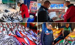 KARABÜK'TE BALIK TEZGAHLARI DENETLENDİ
