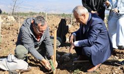 KARABÜK’TE ERASMUSDAYS İÇİN 250 FİDAN DİKİLDİ