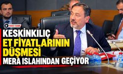 KESKİNKILIÇ: ET FİYATLARININ DÜŞMESİ MERA ISLAHINDAN GEÇİYOR