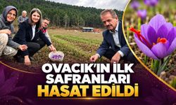 OVACIK’IN İLK SAFRANLARI HASAT EDİLDİ