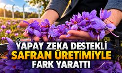 YAPAY ZEKA DESTEKLİ SAFRAN ÜRETİMİYLE FARK YARATTI