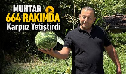 MUHTAR 664 RAKIMDA KARPUZ YETİŞTİRDİ