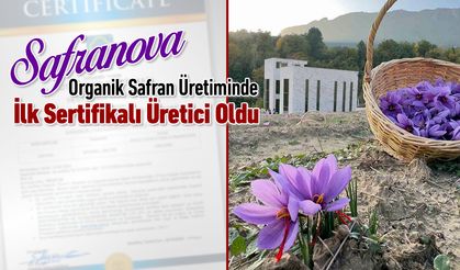 'SAFRANOVA' ORGANİK SAFRAN ÜRETİMİNDE İLK SERTİFİKALI ÜRETİCİ OLDU