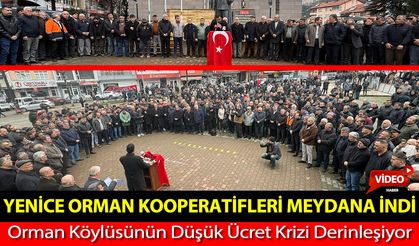 YENİCE'DE ORMAN KOOPERATİFLERİ MEYDANA İNDİ