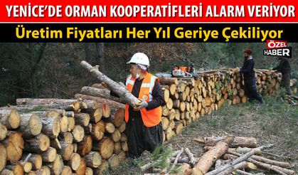 YENİCE’DE ORMAN KOOPERATİFLERİ ALARM VERİYOR