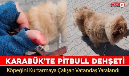 KARABÜK'TE PİTBULL DEHŞETİ