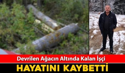 DEVRİLEN AĞACIN ALTINDA KALAN İŞÇİ HAYATINI KAYBETTİ
