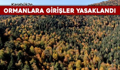 KARABÜK'TE ORMANLARA GİRİŞLER YASAKLANDI