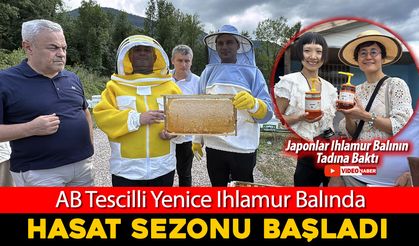 AB TESCİLLİ YENİCE IHLAMUR BALINDA HASAT SEZONU BAŞLADI