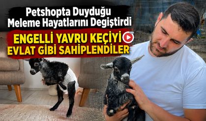 ENGELLİ YAVRU KEÇİYİ EVLAT GİBİ SAHİPLENDİLER