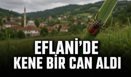 EFLANİ’DE KENE ISIRMASI SONUCU BİR KİŞİ HAYATINI KAYBETTİ