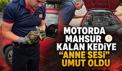 MOTORDA MAHSUR KALAN KEDİYE “ANNE SESİ” UMUT OLDU