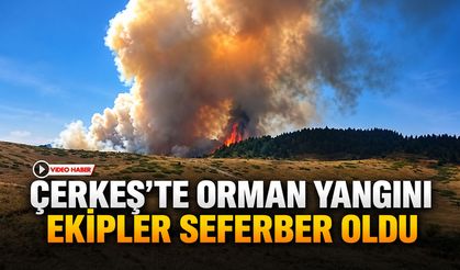 ÇERKEŞ’TE ORMAN YANGINI EKİPLER SEFERBER OLDU