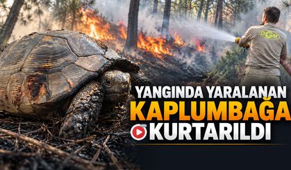 KARABÜK’TE ÖRTÜ YANGINI BÜYÜMEDEN SÖNDÜRÜLDÜ