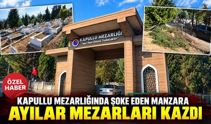 KAPULLU MEZARLIĞINDA AYILAR MEZARLARI KAZDI