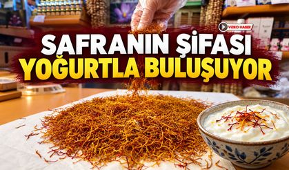 SAFRANIN ŞİFASI YOĞURTLA BULUŞUYOR