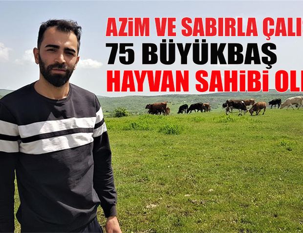 AZİM VE SABIRLA ÇALIŞTI 75 BÜYÜKBAŞ HAYVAN SAHİBİ OLDU