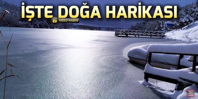 İŞTE DOĞA HARİKASI