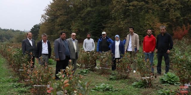 EFLANİLİ ÇİFTÇİLER BOLU VE BURSA'DA BAHÇELERİ GEZDİ