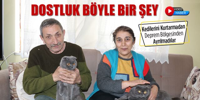 KEDİLERİNİ KURTARMADAN DEPREM BÖLGESİNDEN AYRILMADILAR