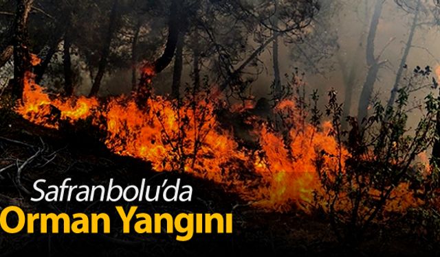 SAFRANBOLU'DA ORMAN YANGINI