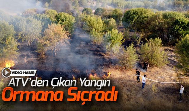 ATV'DEN ÇIKAN YANGIN ORMANA SIÇRADI