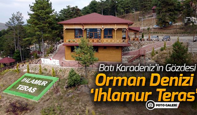 BATI KARADENİZ'İN GÖZDESİ 'ORMAN DENİZİ IHLAMUR TERAS'