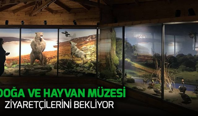 DOĞA VE HAYVAN MÜZESİ ZİYARETÇİLERİNİ BEKLİYOR