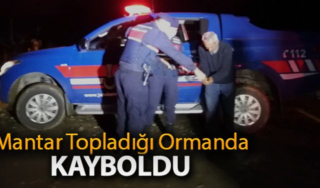 MANTAR TOPLADIĞI ORMANDA KAYBOLDU