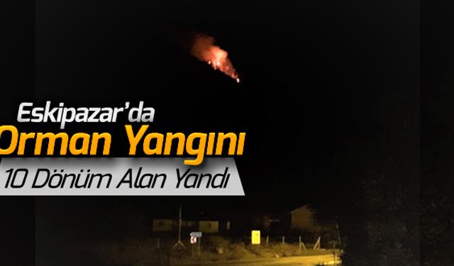 ESKİPAZAR'DA YANGIN: 10 DÖNÜM YANDI