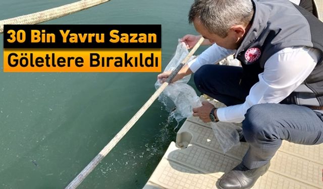 KARABÜK'TE GÖLETLERE 30 BİN YAVRU SAZAN BIRAKILDI