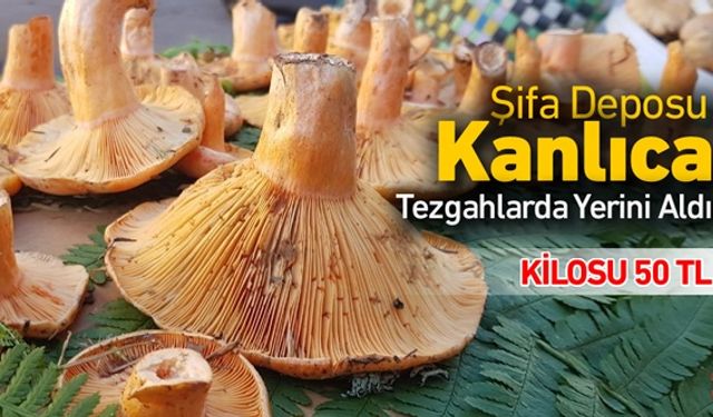 ŞİFA DEPOSU KANLICA TEZGAHLARDA YERİNİ ALDI