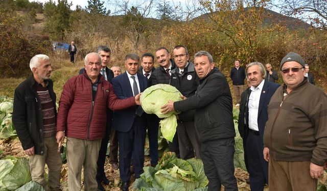 ESKİPAZAR LAHANASI COĞRAFİ İŞARET YOLUNDA