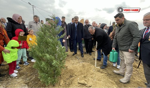 MADEN KAZASINDA HAYATINI KAYBENDENLERİN ANISINA AĞAÇ DİKİLDİ