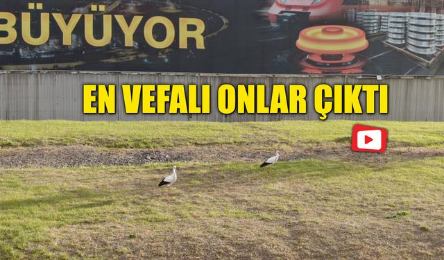 EN VEFALI ONLAR ÇIKTI: KARABÜK'Ü TERK ETMEDİLER