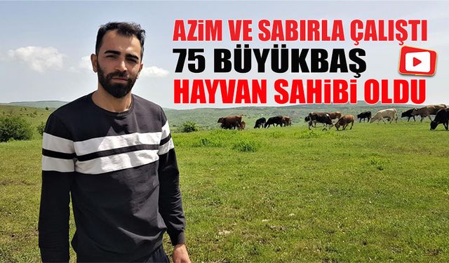 AZİM VE SABIRLA ÇALIŞTI 75 BÜYÜKBAŞ HAYVAN SAHİBİ OLDU