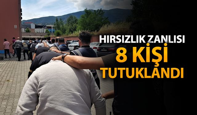 HIRSIZLIK OPERASYONUNDA 8 TUTUKLAMA