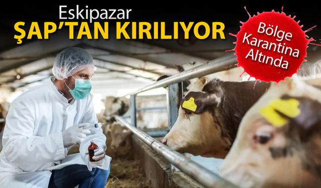 ESKİPAZAR'DA ŞAP HASTALIĞI KIRIP GEÇİRİYOR