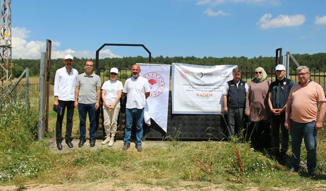 KARABÜK'TE KARABUĞDAY HASADI BAŞLADI