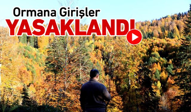 ORMANLARA GİRİŞ YASAKLANDI