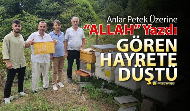 ARILAR PETEK ÜZERİNE "ALLAH" YAZDI