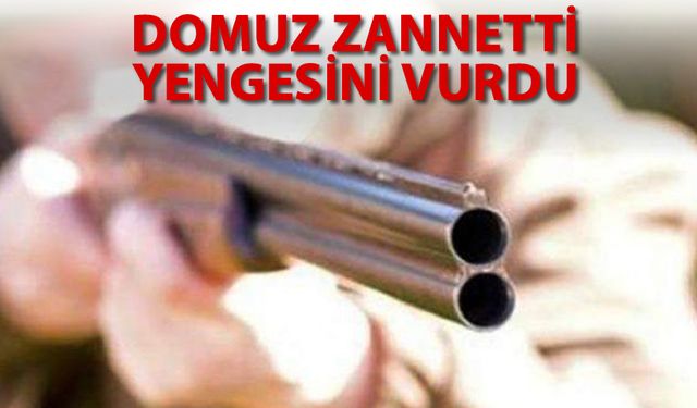 DOMUZ ZANNETTİ YENGESİNİ VURDU